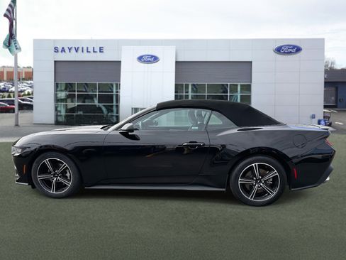 Certified 2024 Ford Mustang Premium image 2