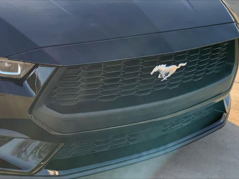 Used 2024 Ford Mustang Premium image 25