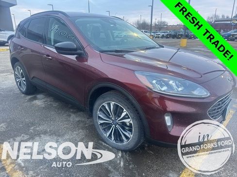 Used 2021 Ford Escape SEL w/ SEL Stealth AWD Package image 1