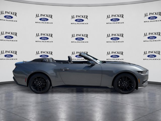 New 2026 Ford Mustang Convertible w/ Mustang Nite Pony Package RWD image 6