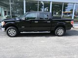 Used 2014 Ford F150 XLT w/ Equipment Group 302A Luxury image 2