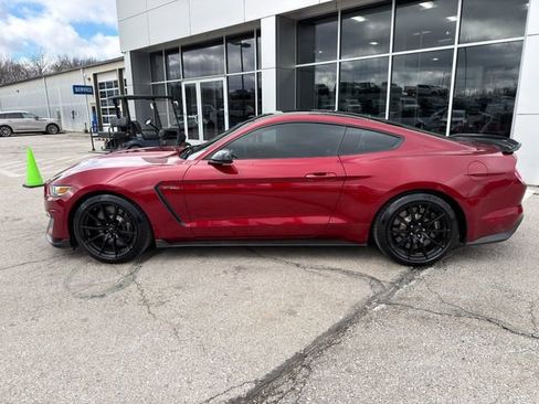 Used 2017 Ford Mustang Shelby GT350 image 4