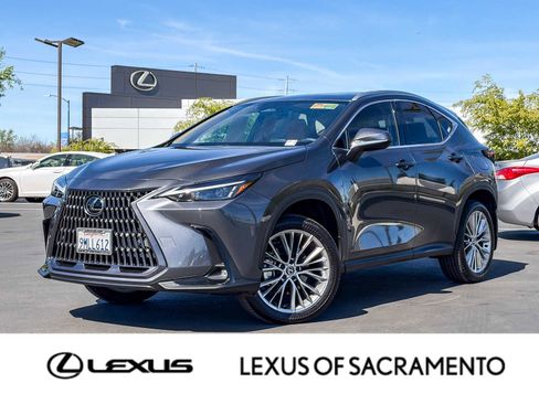 Certified 2025 Lexus NX 350h AWD w/ Cold Area Package image 1