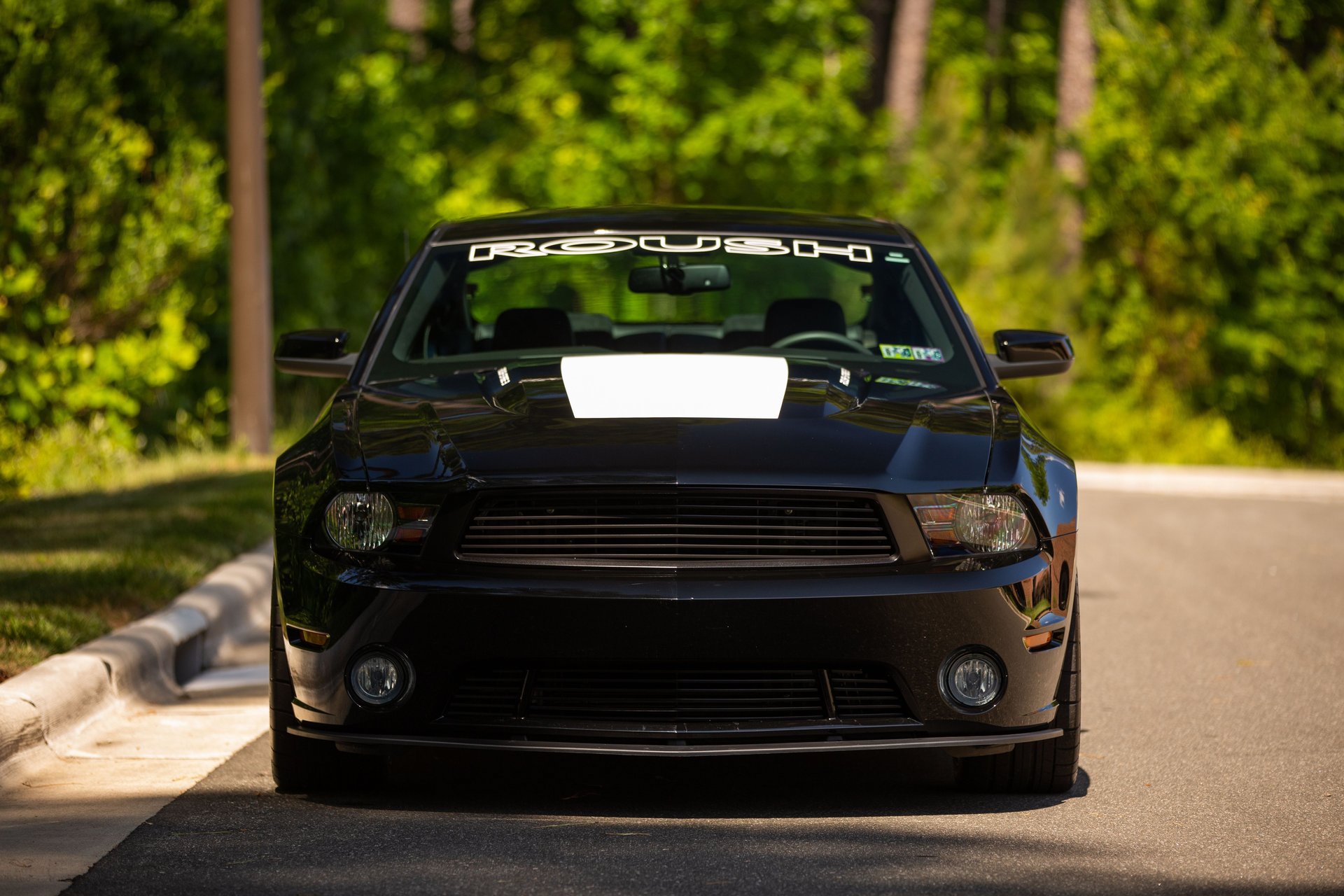 Used 2010 Ford Mustang GT RWD image 12