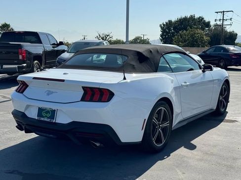 Used 2025 Ford Mustang Convertible RWD image 4