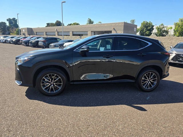 Used 2026 Lexus NX 350h AWD w/ Accessory Package (2T) image 6
