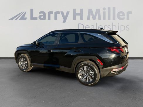 Used 2024 Hyundai Tucson Blue image 4