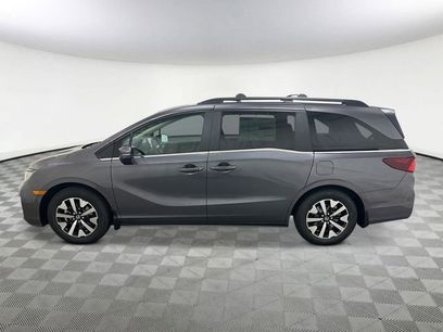 New 2026 Honda Odyssey EX-L