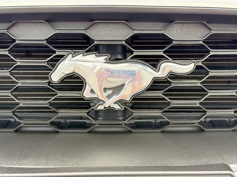 Used 2019 Ford Mustang Coupe w/ Wheel & Stripe Package image 30