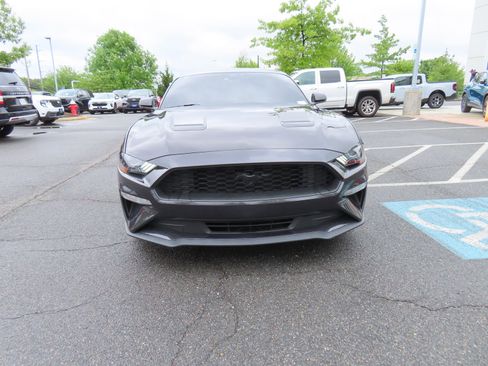 Used 2023 Ford Mustang Premium w/ Equipment Group 201A RWD image 2