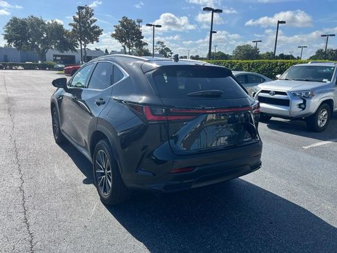 Used 2025 Lexus NX 250 FWD w/ Cold Area Package image 5