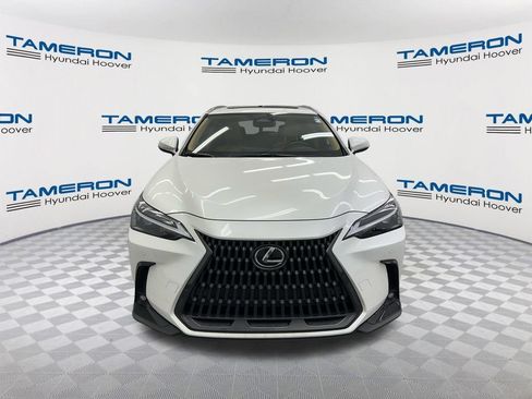 Used 2025 Lexus NX 350h AWD w/ Cold Area Package image 7