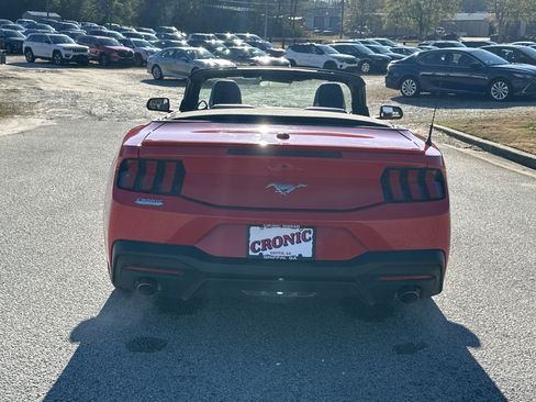 Used 2024 Ford Mustang Premium image 6
