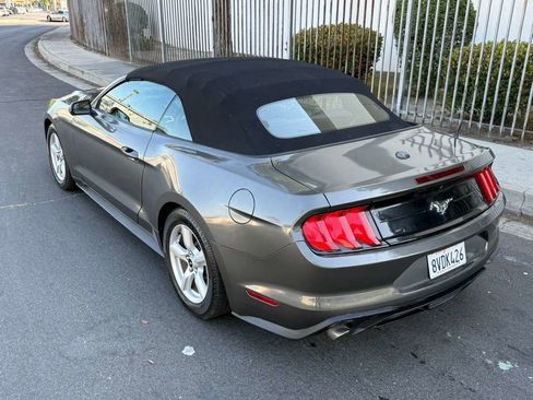 Used 2019 Ford Mustang Convertible RWD image 6