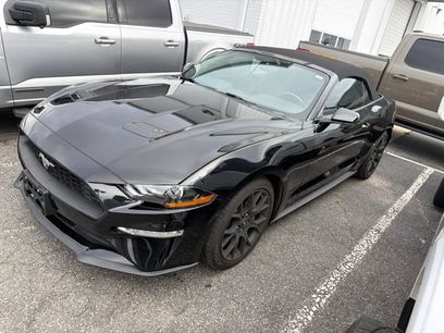 Used 2019 Ford Mustang Premium w/ Ecoboost Performance Package