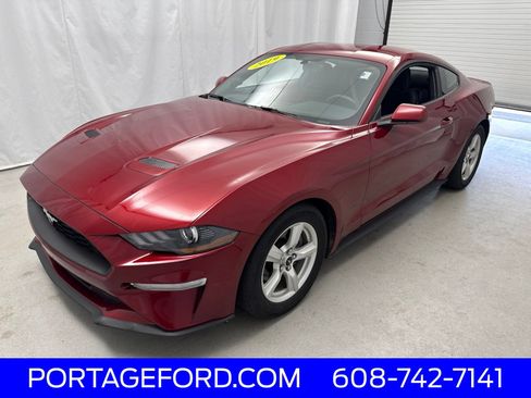 Used 2019 Ford Mustang Coupe RWD image 5