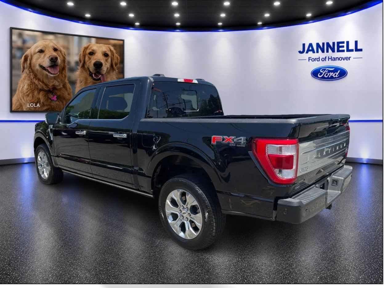Used 2023 Ford F150 Platinum w/ Equipment Group 701A High AWD/4WD image 8
