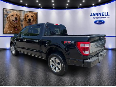 Used 2023 Ford F150 Platinum w/ Equipment Group 701A High AWD/4WD image 8