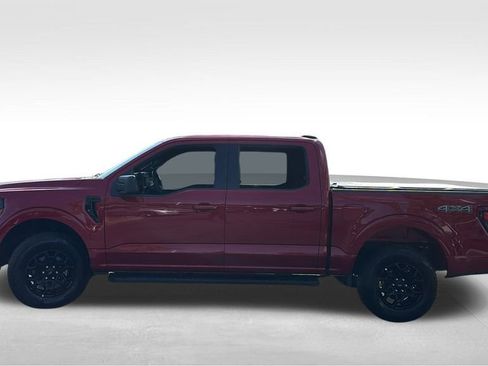 Used 2025 Ford F150 XLT w/ Equipment Group 301A Standard image 4