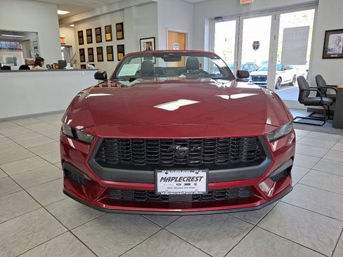 Certified 2025 Ford Mustang Premium w/ Mustang Nite Pony Package image 2