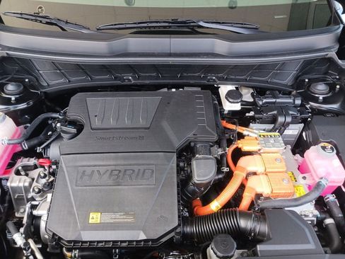 Used 2024 Kia Niro EX image 14