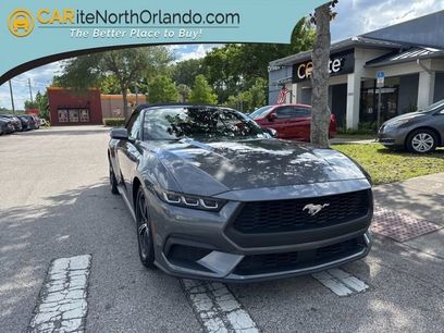 Used 2024 Ford Mustang Premium