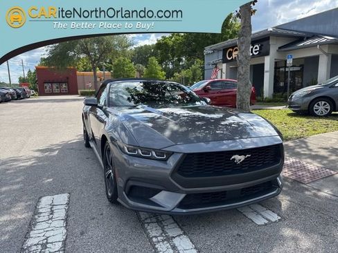 Used 2024 Ford Mustang Premium image 1