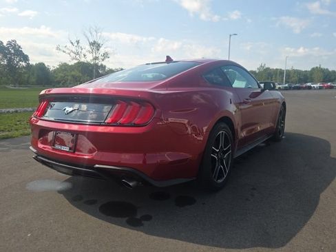 Used 2023 Ford Mustang Coupe w/ Equipment Group 101A RWD image 8