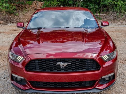 Used 2016 Ford Mustang Premium w/ Ecoboost Performance Package RWD image 8