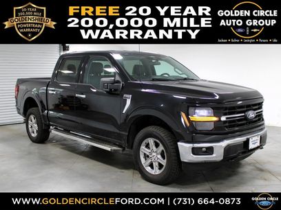 Used 2025 Ford F150 XLT w/ Equipment Group 301A Standard