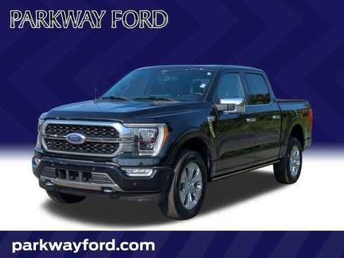 Used 2023 Ford F150 Platinum w/ Equipment Group 701A High AWD/4WD image 1