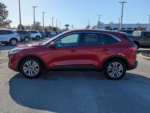 Used 2022 Ford Escape SEL image 6