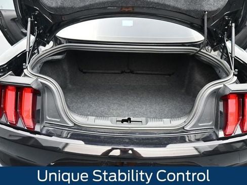 Certified 2019 Ford Mustang GT w/ GT Performance Package RWD image 14
