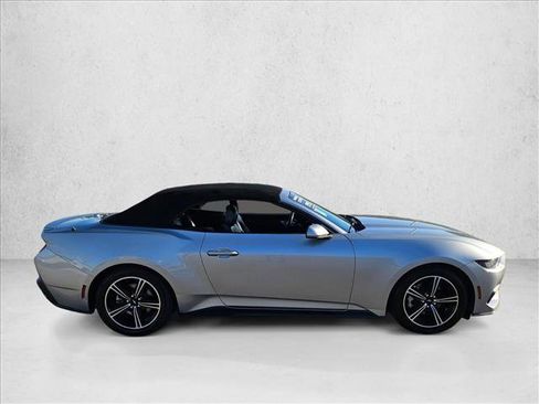 Used 2024 Ford Mustang Premium image 4