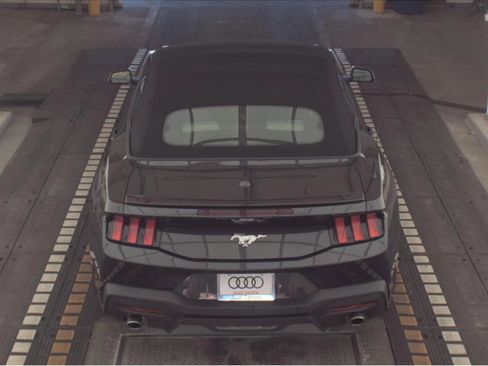 Used 2024 Ford Mustang Premium image 3