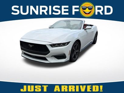 Used 2024 Ford Mustang Premium