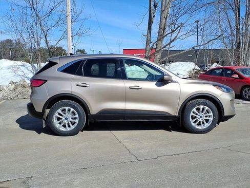 Used 2020 Ford Escape SE image 4