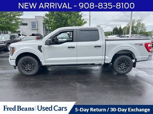 Used 2023 Ford F150 XL w/ STX Appearance Package AWD/4WD image 4