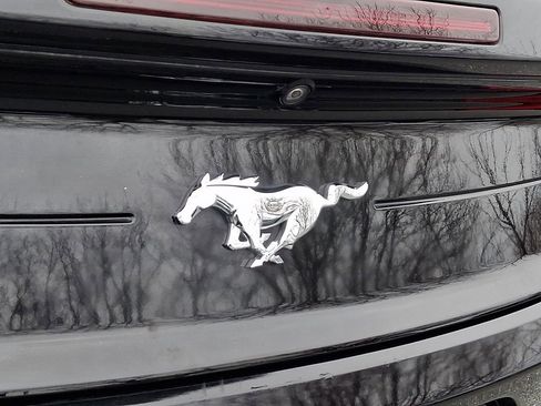 Used 2020 Ford Mustang Premium image 29