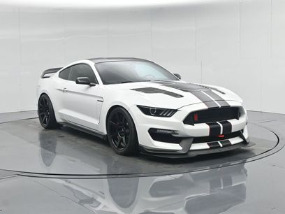 Used 2019 Ford Mustang Shelby GT350R w/ GT350R Equipment Group 920A