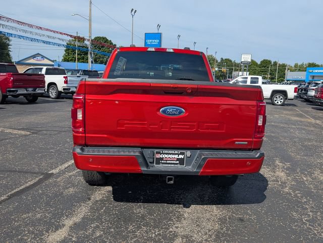Used 2023 Ford F150 XLT w/ Equipment Group 302A High AWD/4WD image 7
