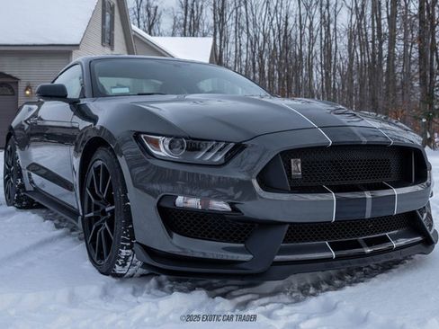 Used 2015 Ford Mustang Shelby GT350 RWD image 12