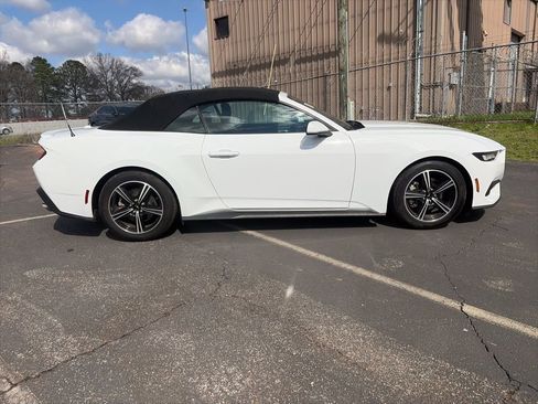 Used 2024 Ford Mustang Premium image 8