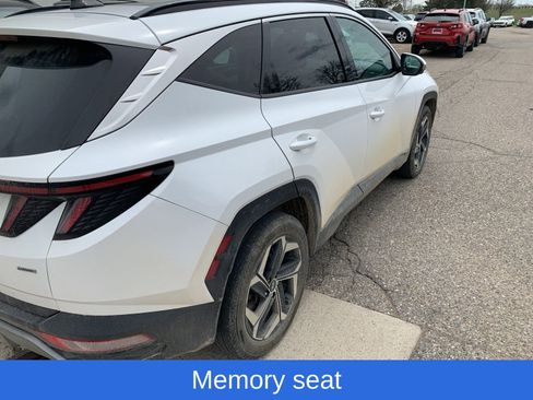 Used 2023 Hyundai Tucson Limited image 4