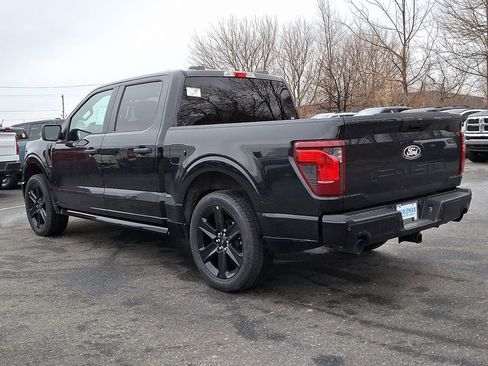 New 2025 Ford F150 STX w/ LOBO Package image 3