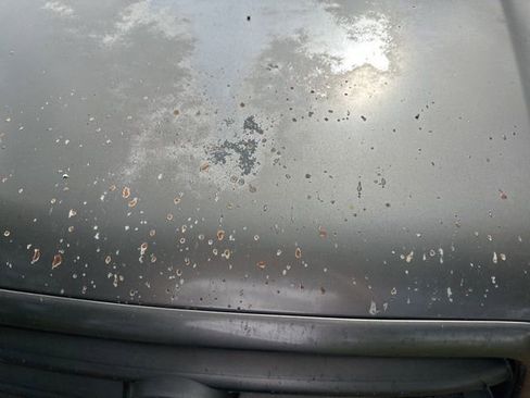 Used 2004 Toyota Sequoia SR5 image 8