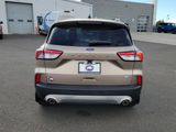 Used 2020 Ford Escape SE image 4