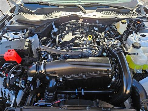 New 2026 Ford Mustang Coupe image 15