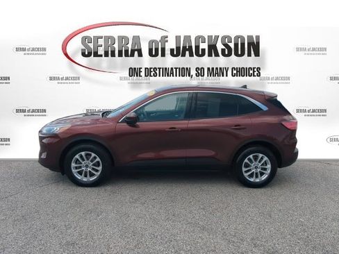 Used 2021 Ford Escape SE AWD/4WD image 6