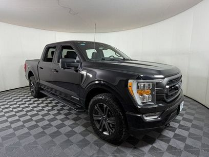 Used 2023 Ford F150 XLT w/ Equipment Group 302A High